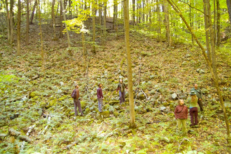 Students examine the oak forest in a large kettle hole in a kame terrace.