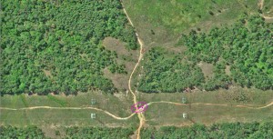 2010 aerial photo of the location of the 1960 Bodine photograph. We were under the power lines where two roads cross (pink oval). The “Woods Road” has been rerouted since 1960 (white dots).
