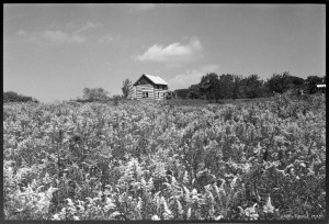 Assay office and goldenrod. Fall 1974.