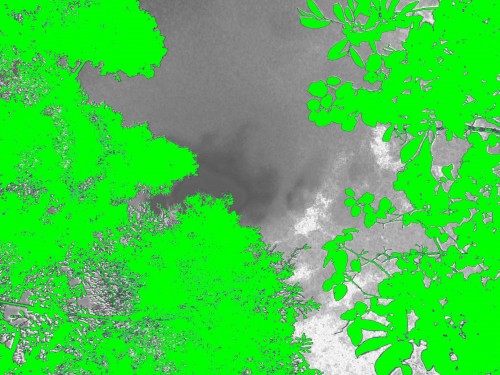 NDVI zenithal image from a systematic sampling site in a treeline forest plot. Green denotes NDVI values greater than 0.1.  From a photo taken by an infrared NDVI camera.